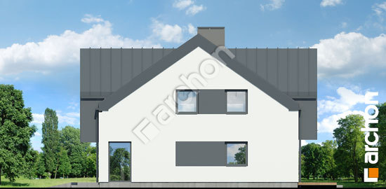 Боковой фасад Дом в орехах (Р2)