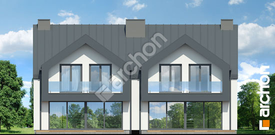 Дворовой фасад Дом в орехах (Р2)