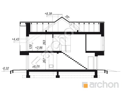 Проект дома ARCHON+ Дом в орехах (Р2) Розріз будинку