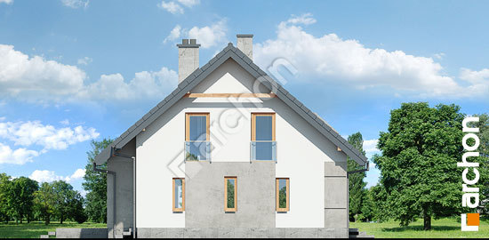 Бочний фасад Будинок в аурорах 5