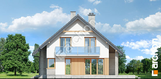 Боковой фасад Дом в аурорах 5