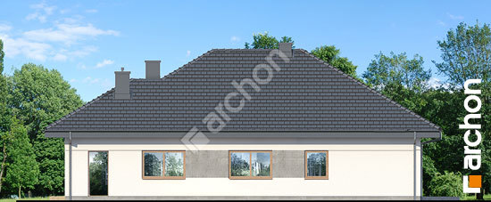 Бочний фасад Будинок в ренклодах 17