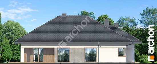 Бочний фасад Будинок в ренклодах 17