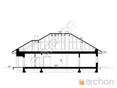 Проєкт будинку ARCHON+ Будинок в ренклодах 17 Розріз будинку