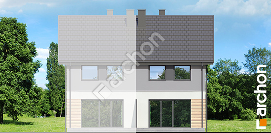 Дворовий фасад Будинок в чорній смородині (ГБ)