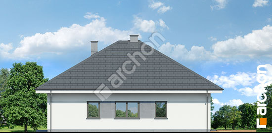 Бочний фасад Будинок в хакетіях 3