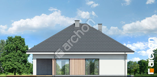 Бочний фасад Будинок в хакетіях 3