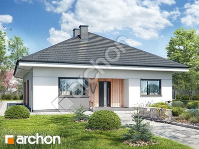 Проєкт будинку ARCHON+ Будинок в хакетіях 3 