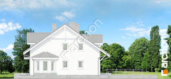 Бочний фасад Будинок в дельфініумі 2 (П) вер. 2