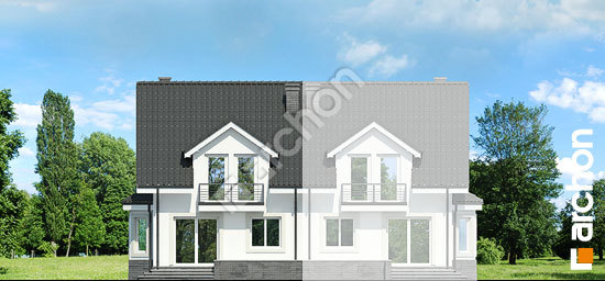 Дворовой фасад Дом в дельфиниуме 2 (П) вер.2