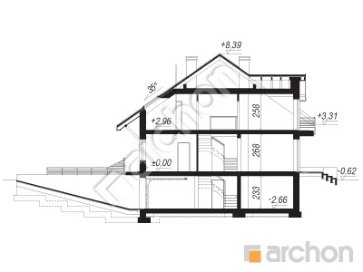 Проект дома ARCHON+ Дом в дельфиниуме 2 (П) вер.2 Розріз будинку