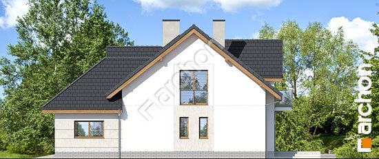 Бочний фасад Будинок в каченьцах (Г2)