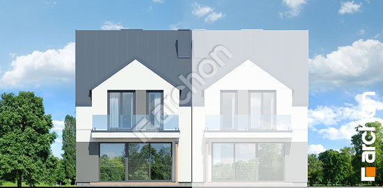 Дворовой фасад Дом под гинко 18 (ГБ)