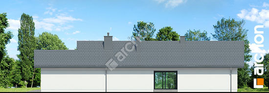 Бочний фасад Будинок в бродіах 2