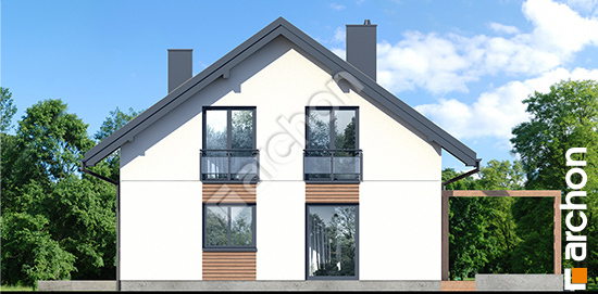 Боковой фасад Дом в аурорах 14