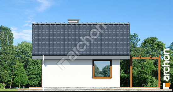 Боковой фасад Летний домик в крокусах 2