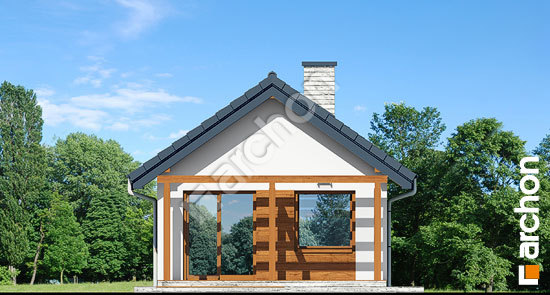 Дворовой фасад Летний домик в крокусах 2