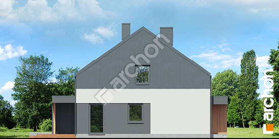 Бочний фасад Будинок в нарцисах 2 (Р2)