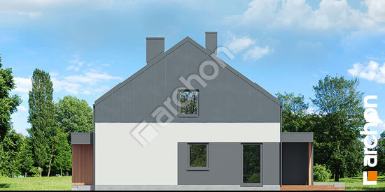 Боковой фасад Дом в нарциссах 2 (Р2)