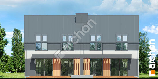 Дворовий фасад Будинок в нарцисах 2 (Р2)