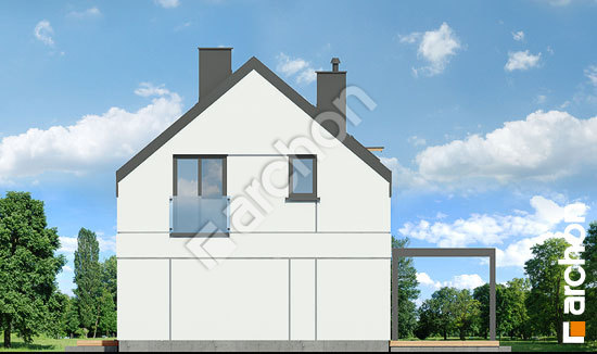 Бочний фасад Будинок в космеях