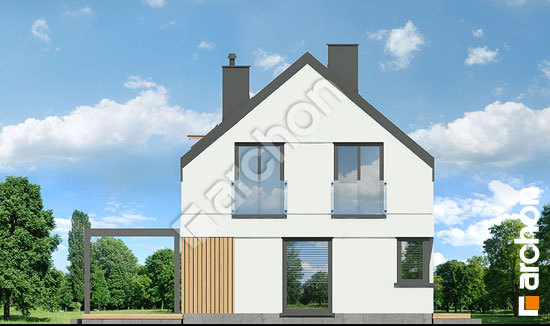 Боковой фасад Дом в космеях