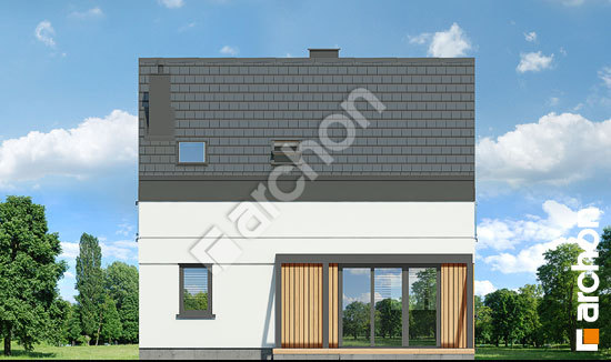 Дворовий фасад Будинок в космеях