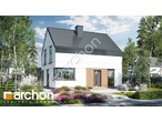 Проект будинку ARCHON+ Будинок в космеях 