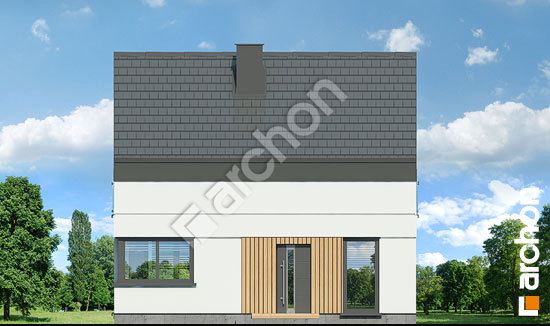 Передній фасад Будинок в космеях