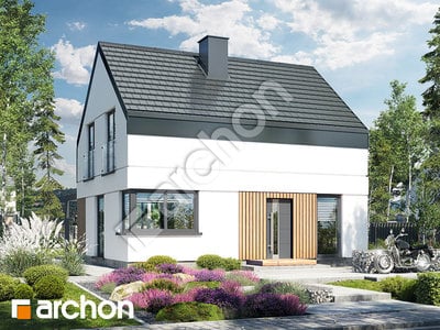 Проєкт будинку ARCHON+ Будинок в космеях 