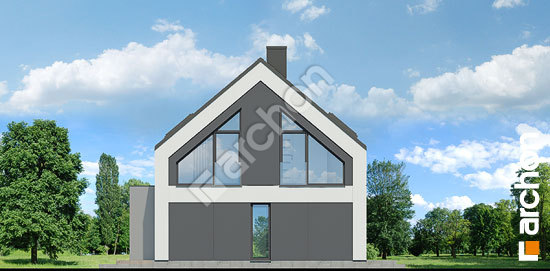 Боковой фасад Дом в шишковиках 8 (E) ВИЭ