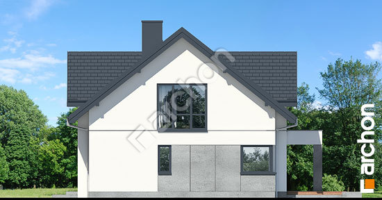 Боковой фасад Дом в теллимах 