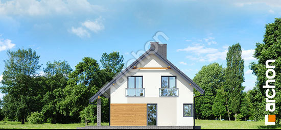 Бочний фасад Будинок в малинівці (Р2)