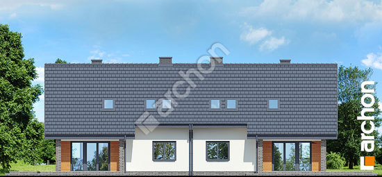 Дворовий фасад Будинок в малинівці (Р2)