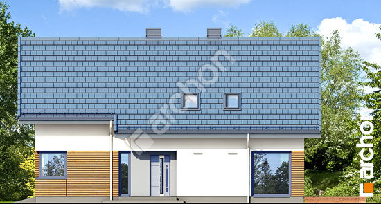 Бочний фасад Будинок в ліголях