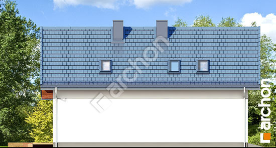 Бочний фасад Будинок в ліголях