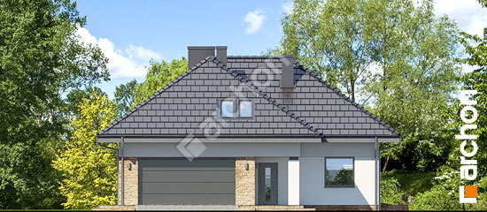 Передній фасад Будинок в тавулах (Г2)