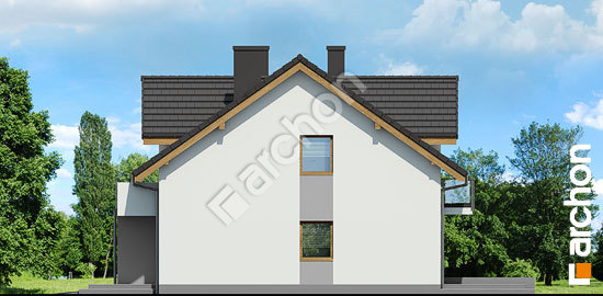 Боковой фасад Дом в клематисах 21