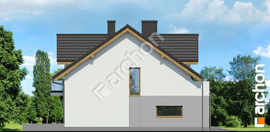 Боковой фасад Дом в клематисах 21