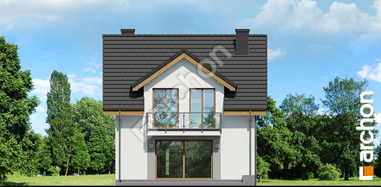 Дворовой фасад Дом в клематисах 21