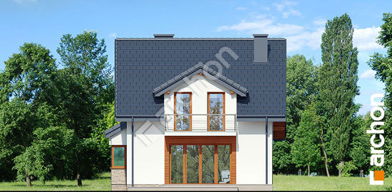 Дворовой фасад Дом в одуванчиках (Н) вер.3