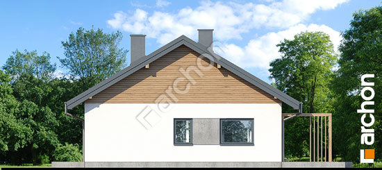 Бочний фасад Будинок в дерені 2