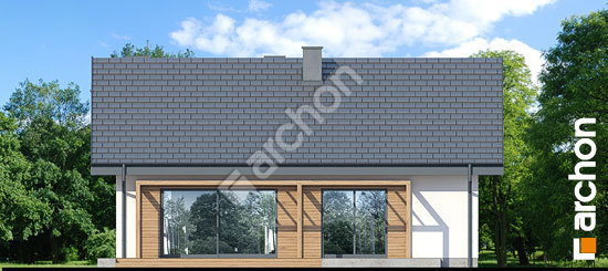 Дворовой фасад Дом в дерни 2