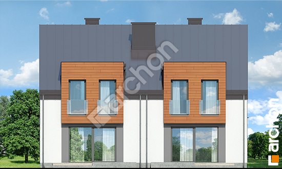 Дворовой фасад Дом под гинко 7 (ГР2Н)