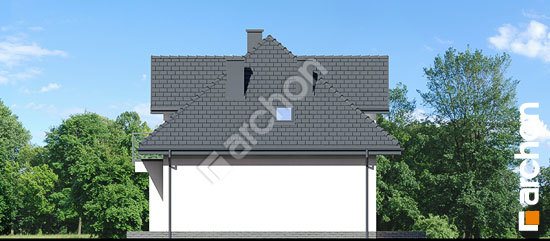 Бочний фасад Будинок в традесканціях 2