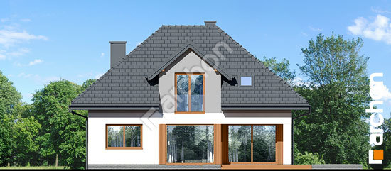 Дворовой фасад Дом в традесканциях 2