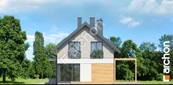 Бочний фасад Будинок в тритомах (Б)