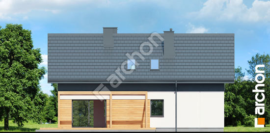 Дворовий фасад Будинок в тритомах (Б)