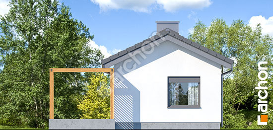 Бочний фасад Літній будиночок в крокусах 3