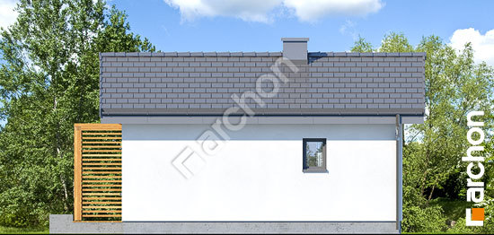 Дворовий фасад Літній будиночок в крокусах 3